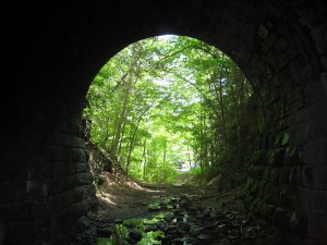 Luz al final del Tunel